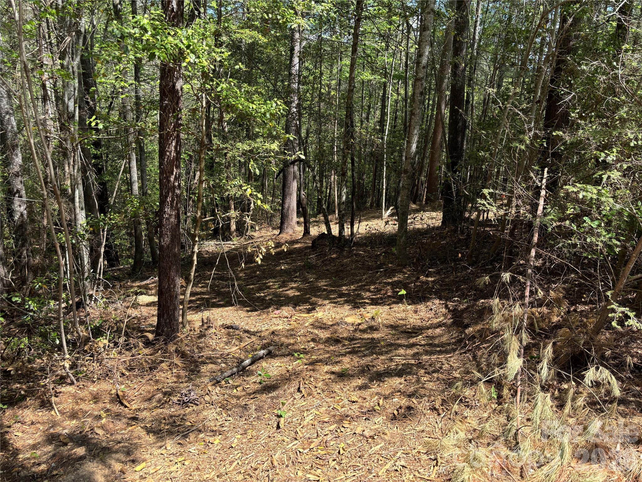 1665 Round Mountain Parkway Lenoir NC 28645