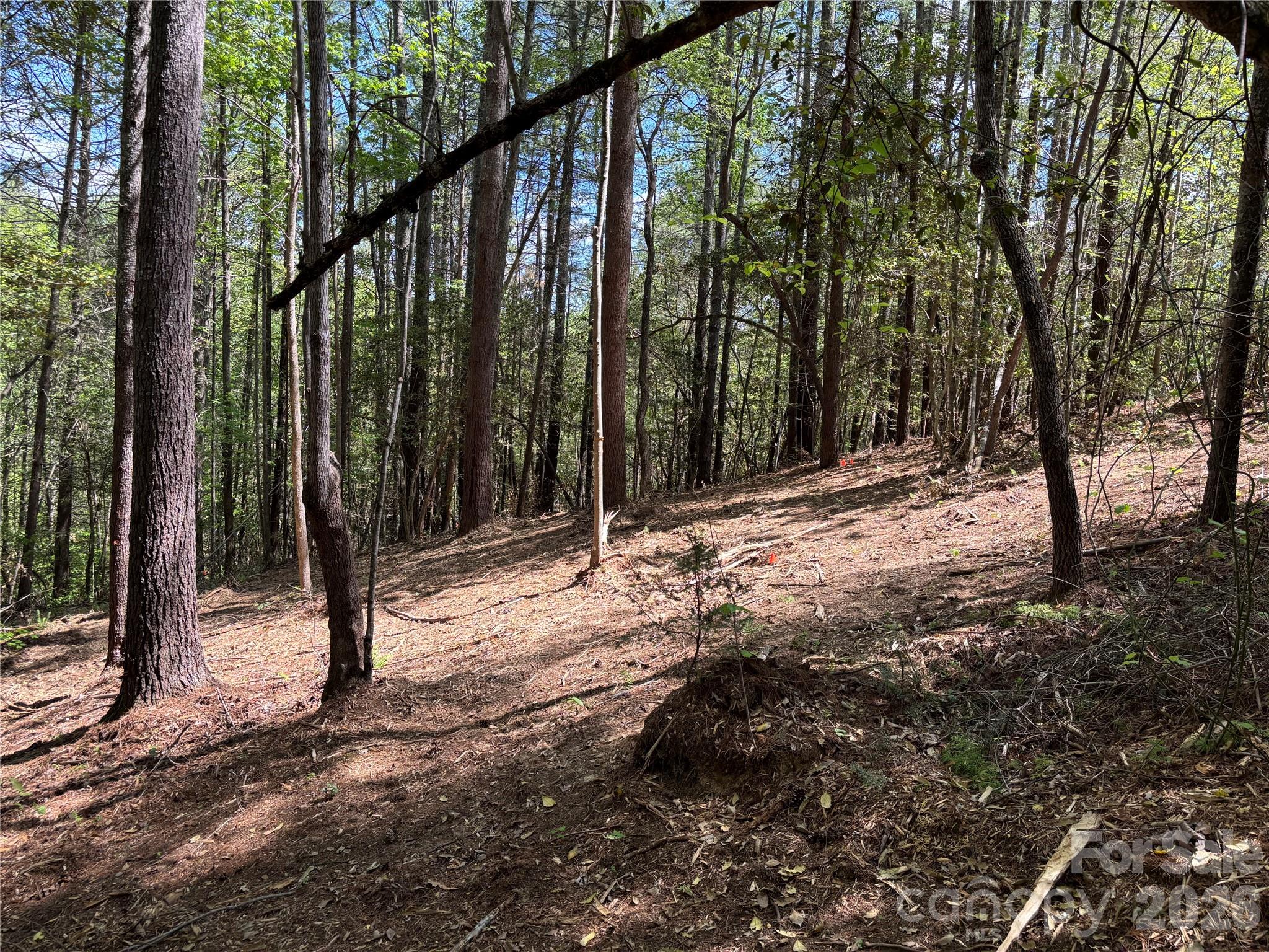 1665 Round Mountain Parkway Lenoir NC 28645