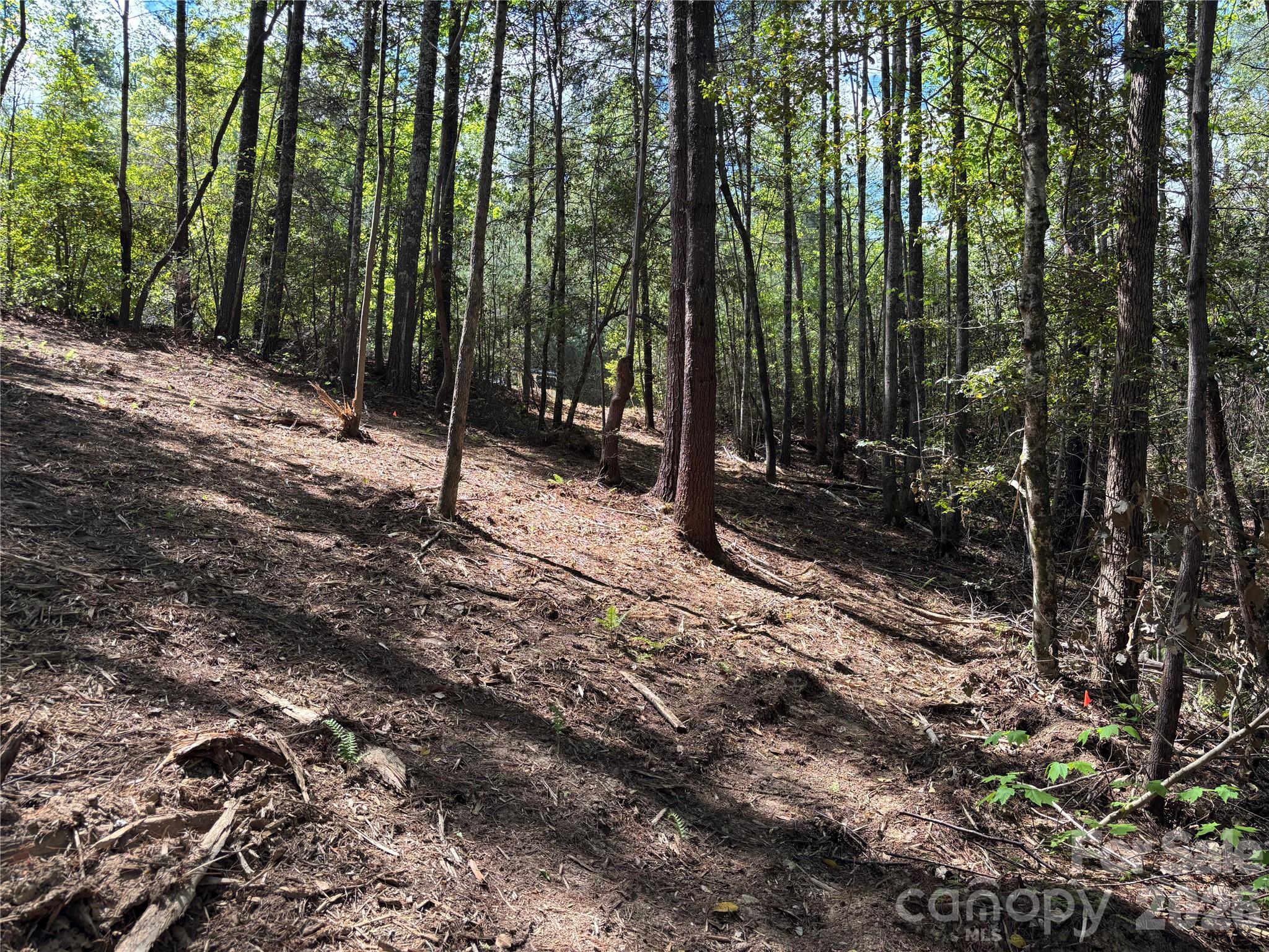 1665 Round Mountain Parkway Lenoir NC 28645