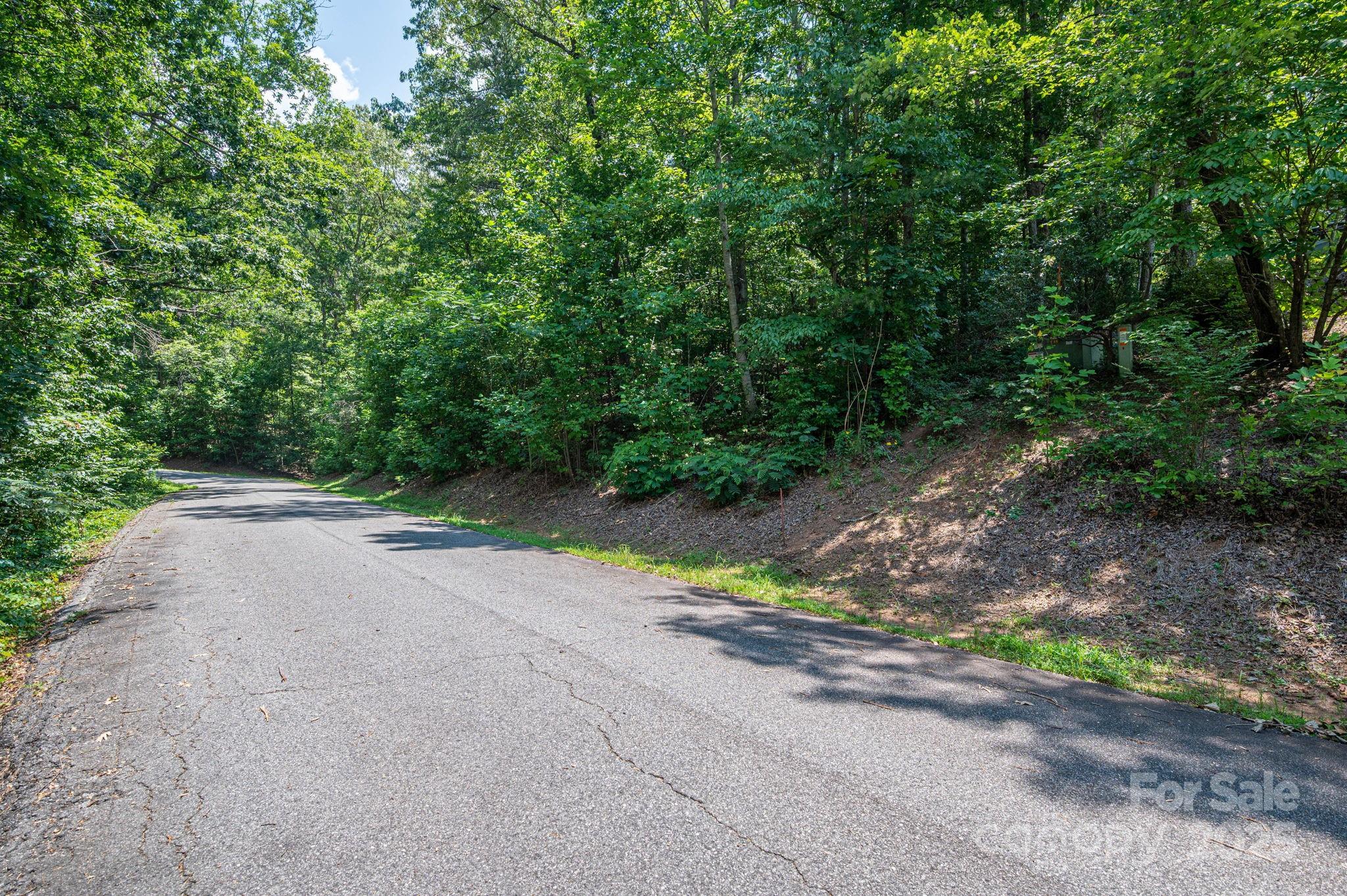 Lot #36 Moss Drive Rutherfordton NC 28139