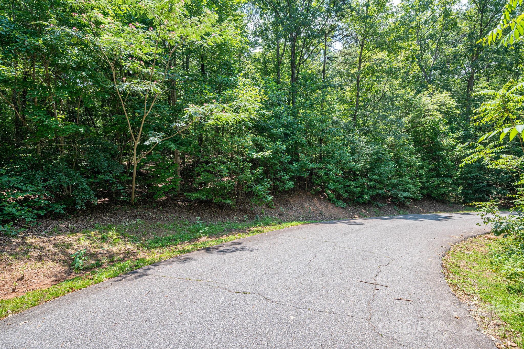 Lot #36 Moss Drive Rutherfordton NC 28139