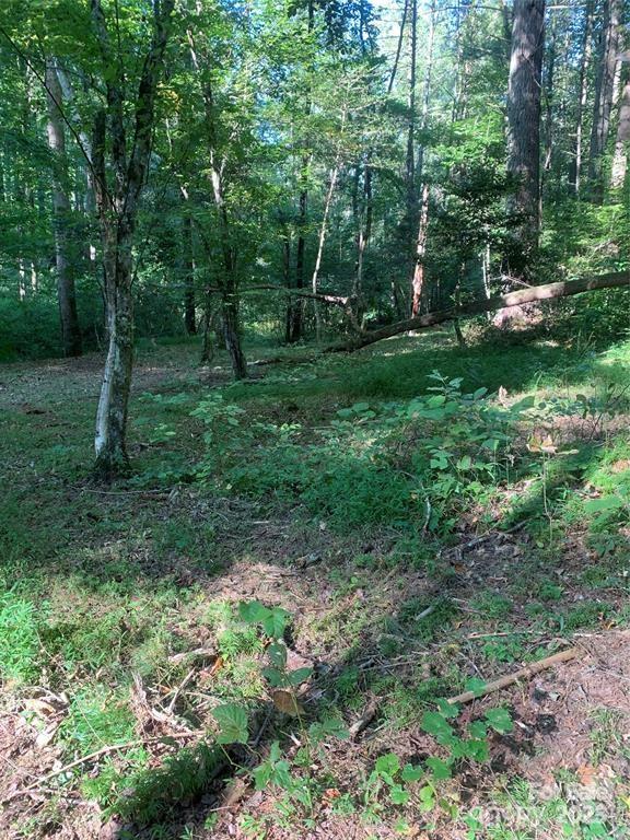 442 E Settings Boulevard NW Morganton NC 28655