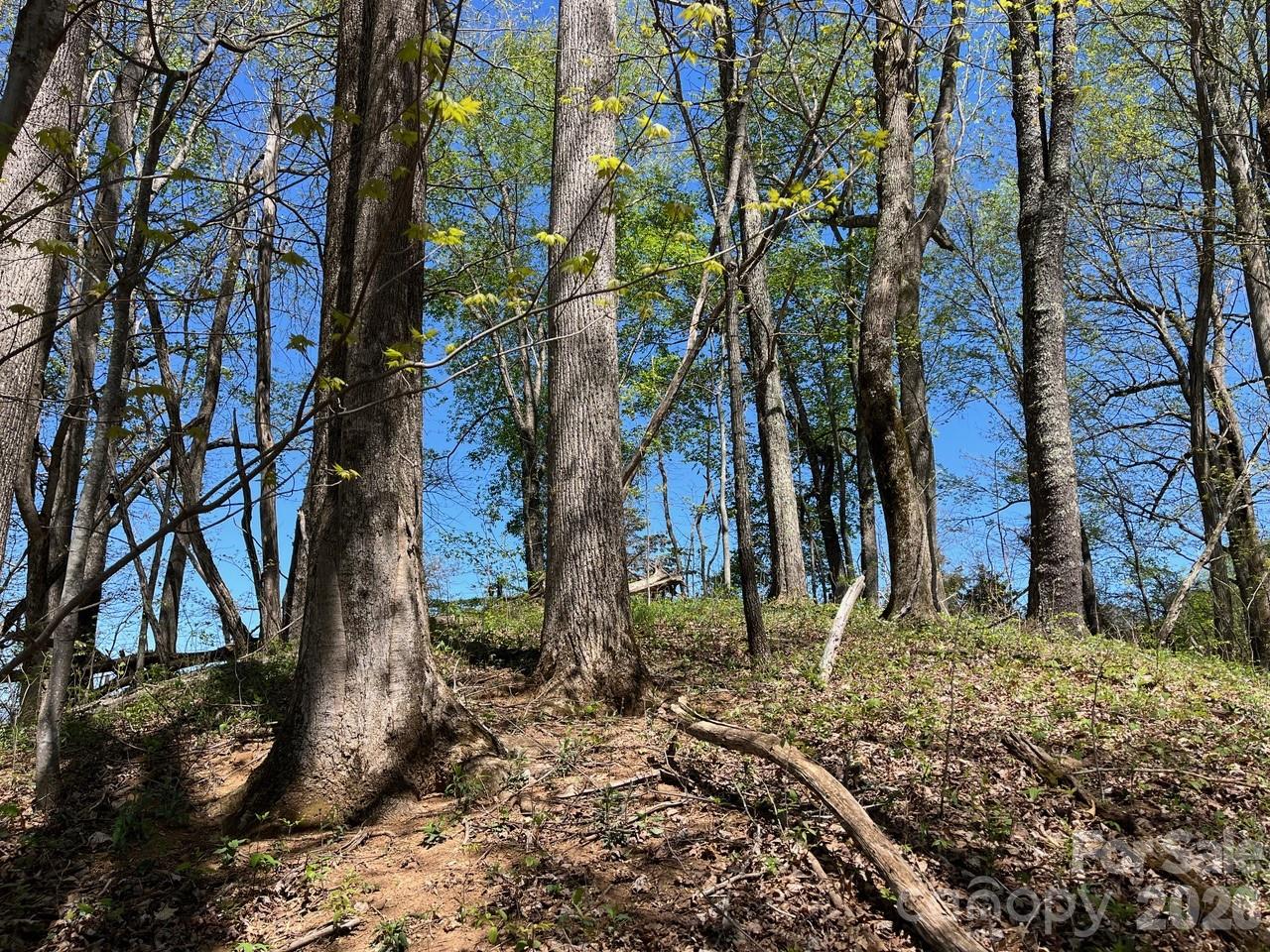 0 Crackin Chestnut Lane Sylva NC 28779