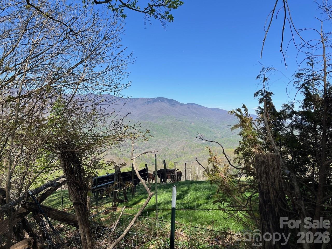 0 Crackin Chestnut Lane Sylva NC 28779