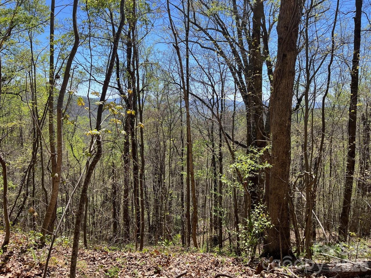 0 Crackin Chestnut Lane Sylva NC 28779