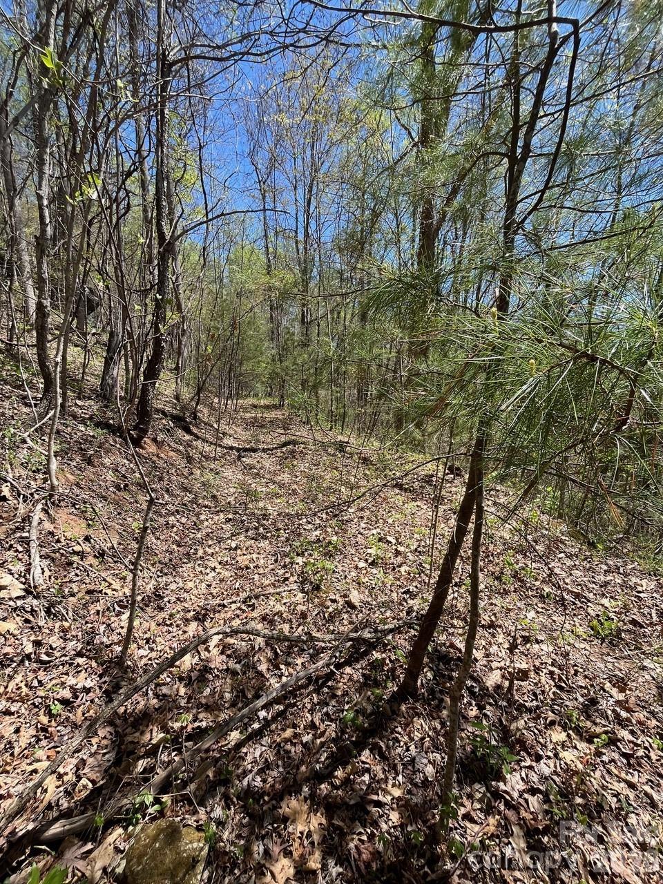 0 Crackin Chestnut Lane Sylva NC 28779