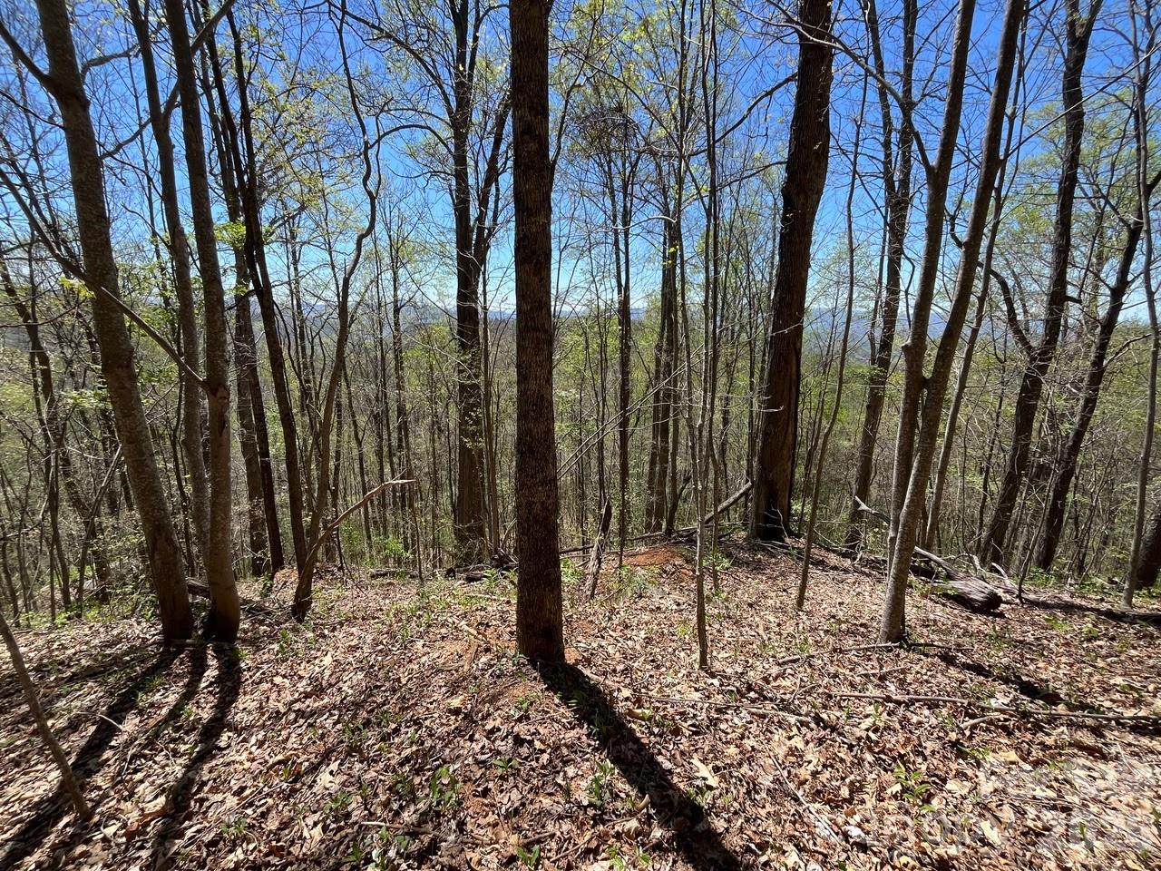 0 Crackin Chestnut Lane Sylva NC 28779