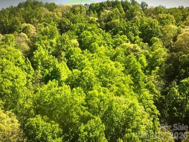 0 Crackin Chestnut Lane Sylva NC 28779