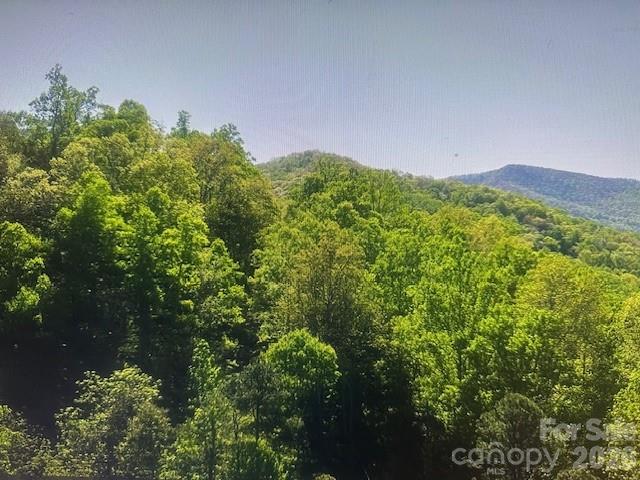 0 Crackin Chestnut Lane Sylva NC 28779