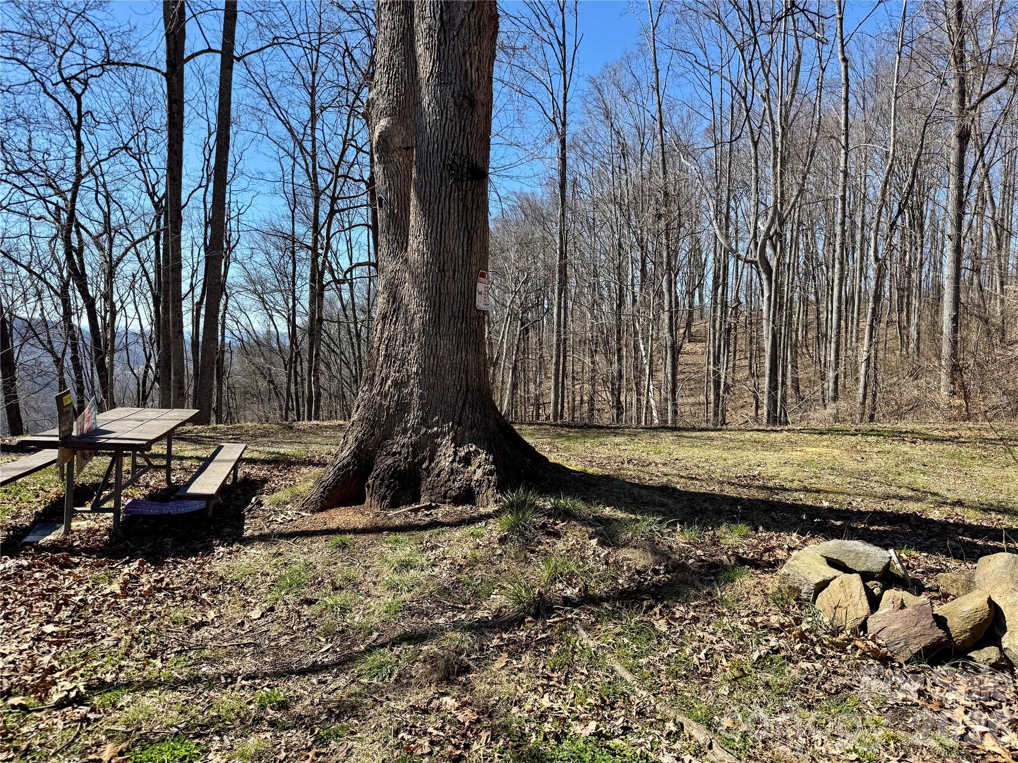 99999 North Fork Road Barnardsville NC 28709