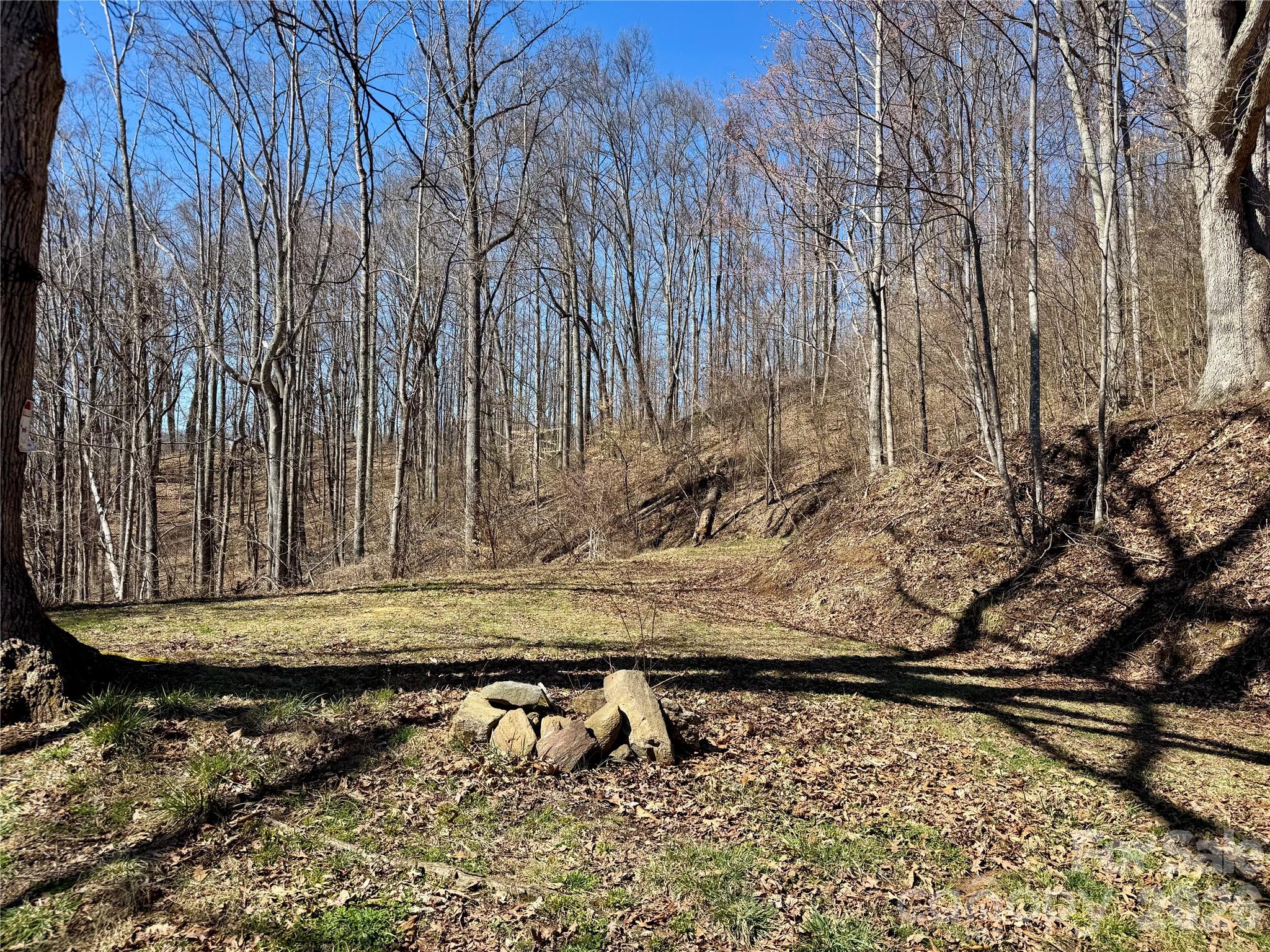 99999 North Fork Road Barnardsville NC 28709
