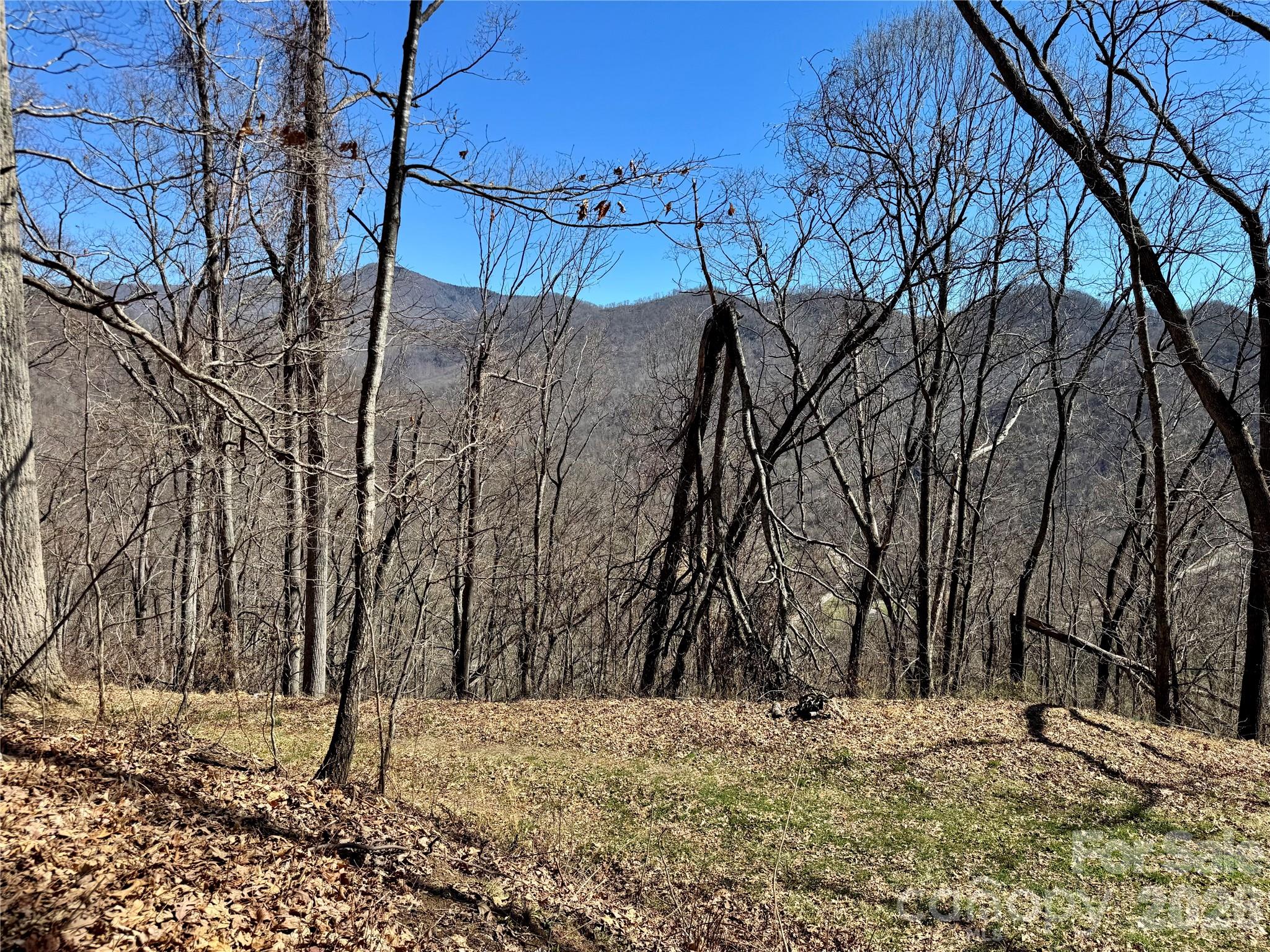99999 North Fork Road Barnardsville NC 28709