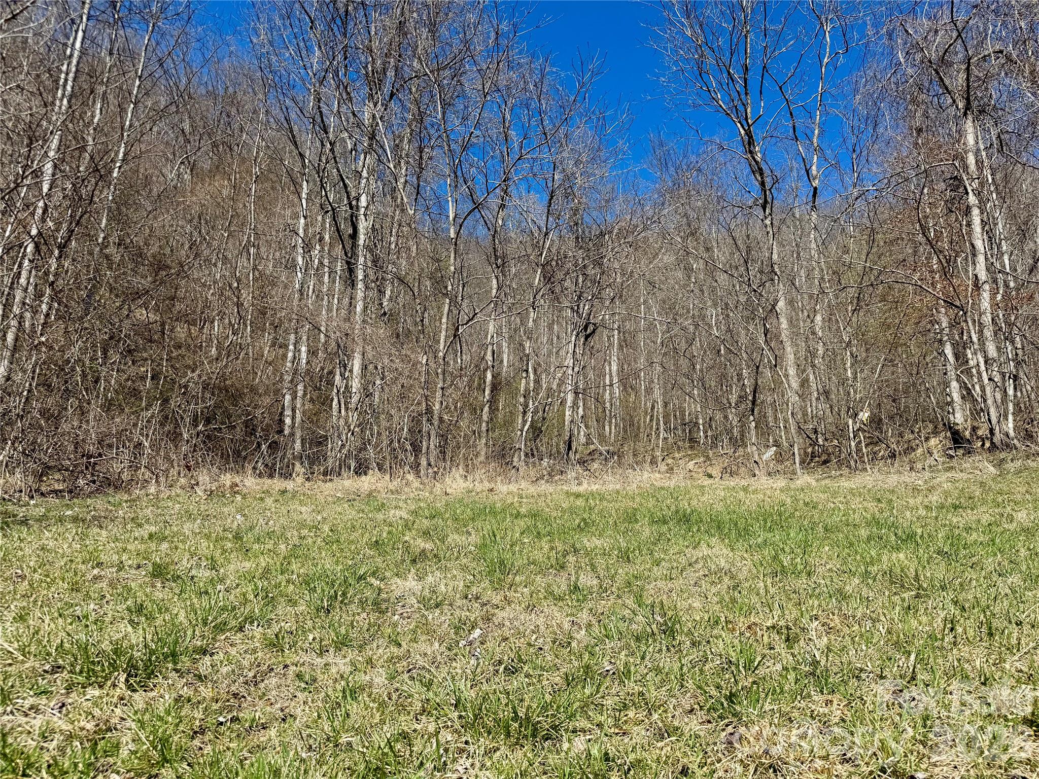 99999 North Fork Road Barnardsville NC 28709