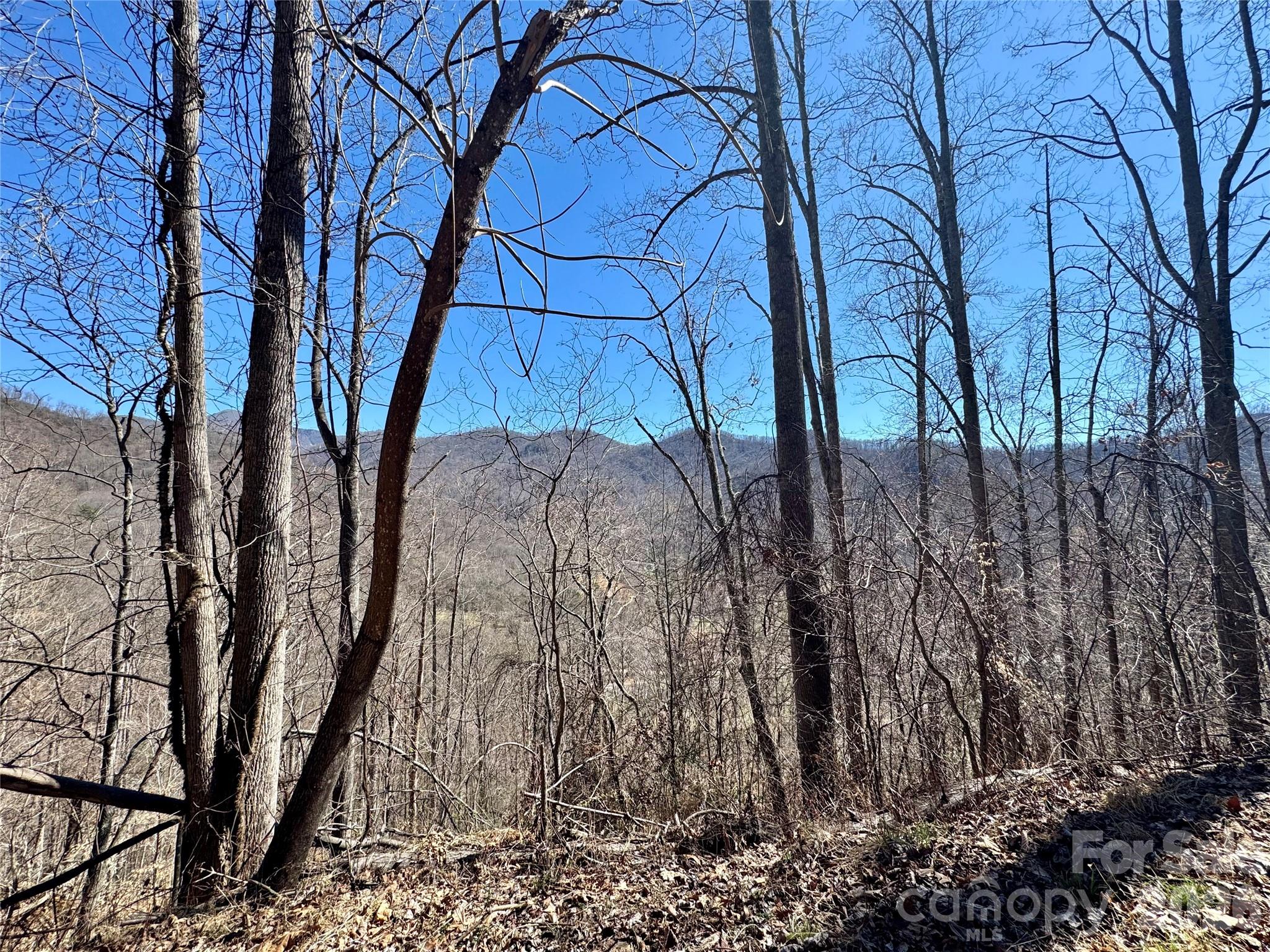 99999 North Fork Road Barnardsville NC 28709