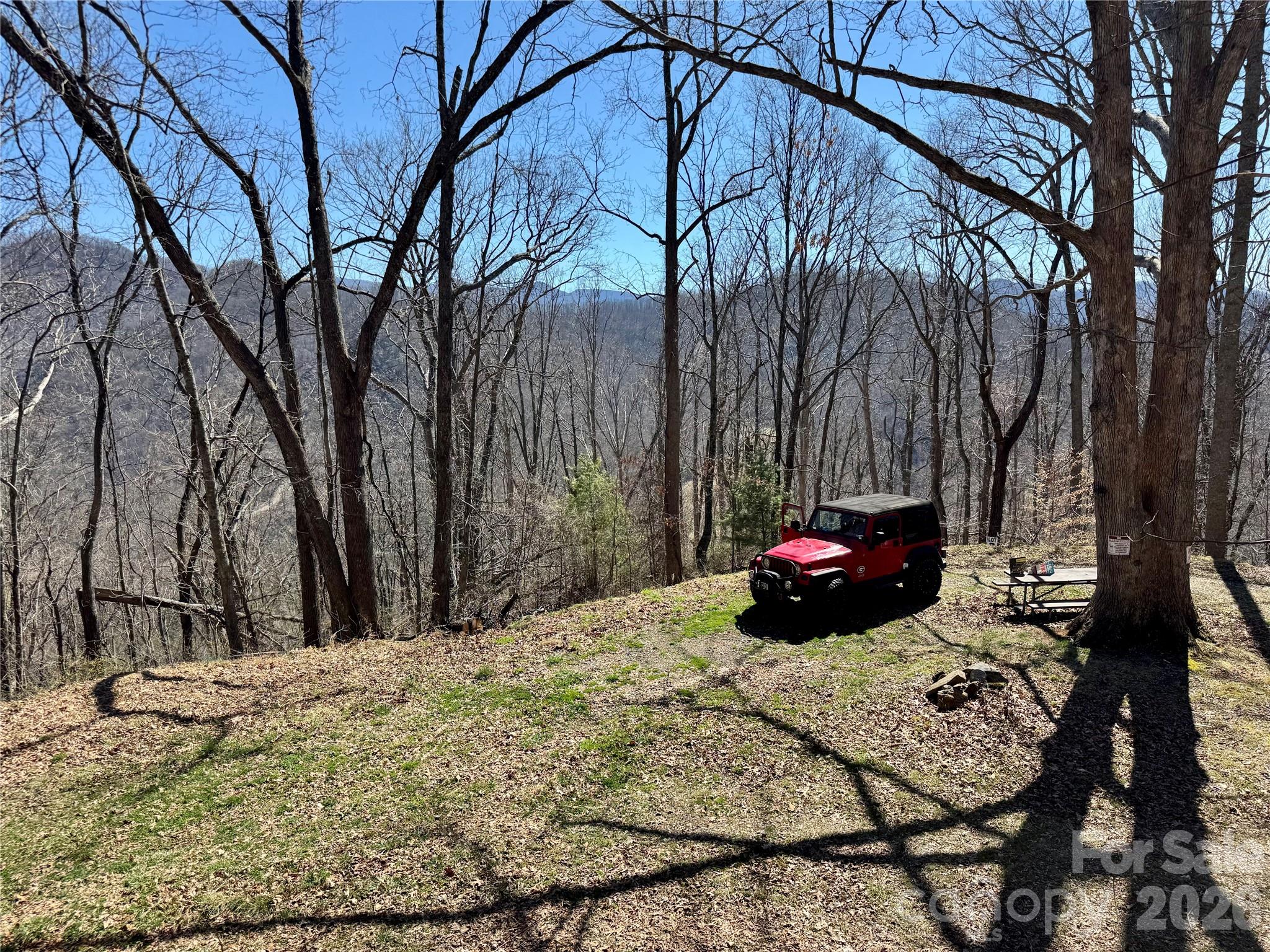 99999 North Fork Road Barnardsville NC 28709