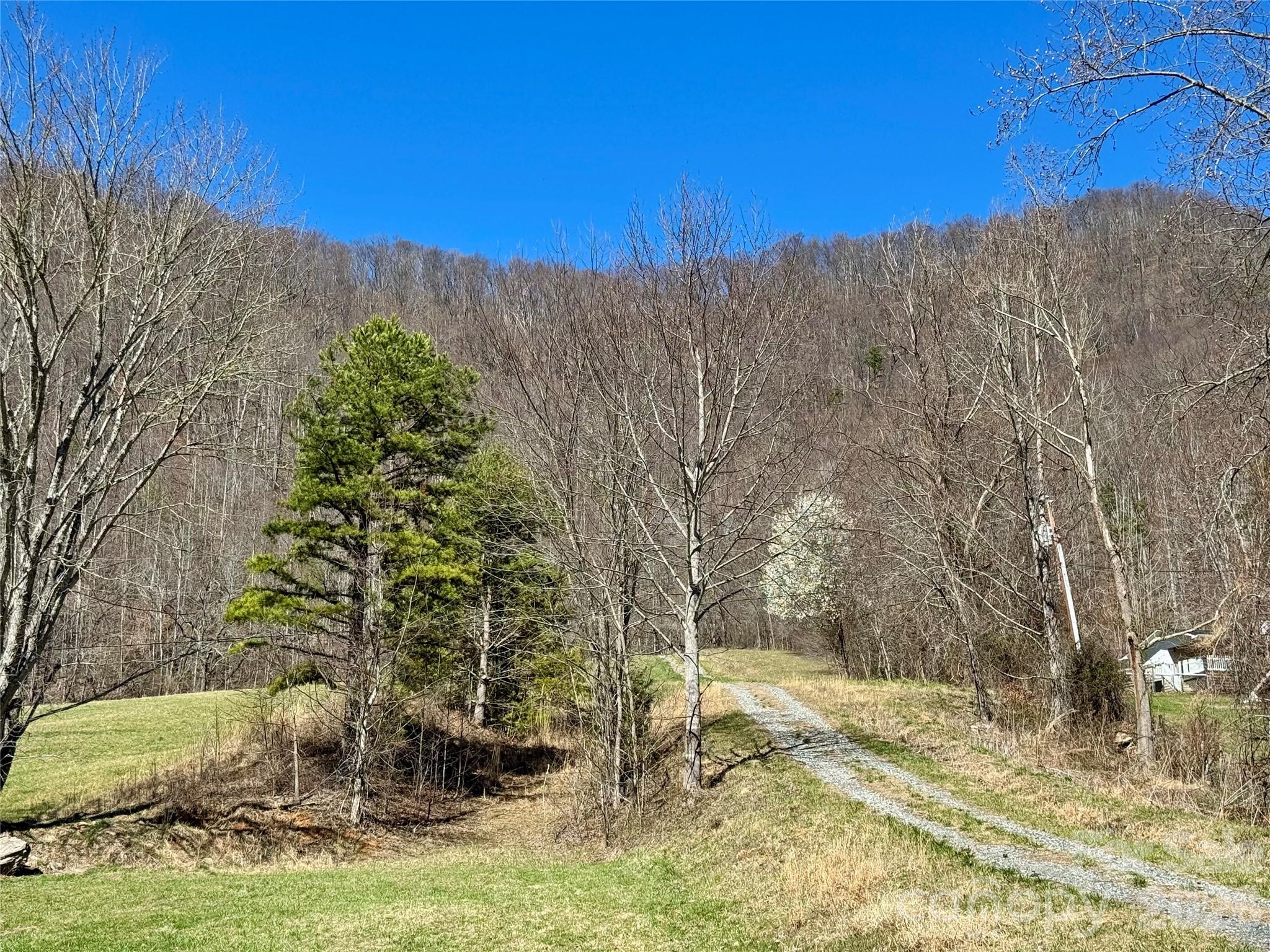 99999 North Fork Road Barnardsville NC 28709