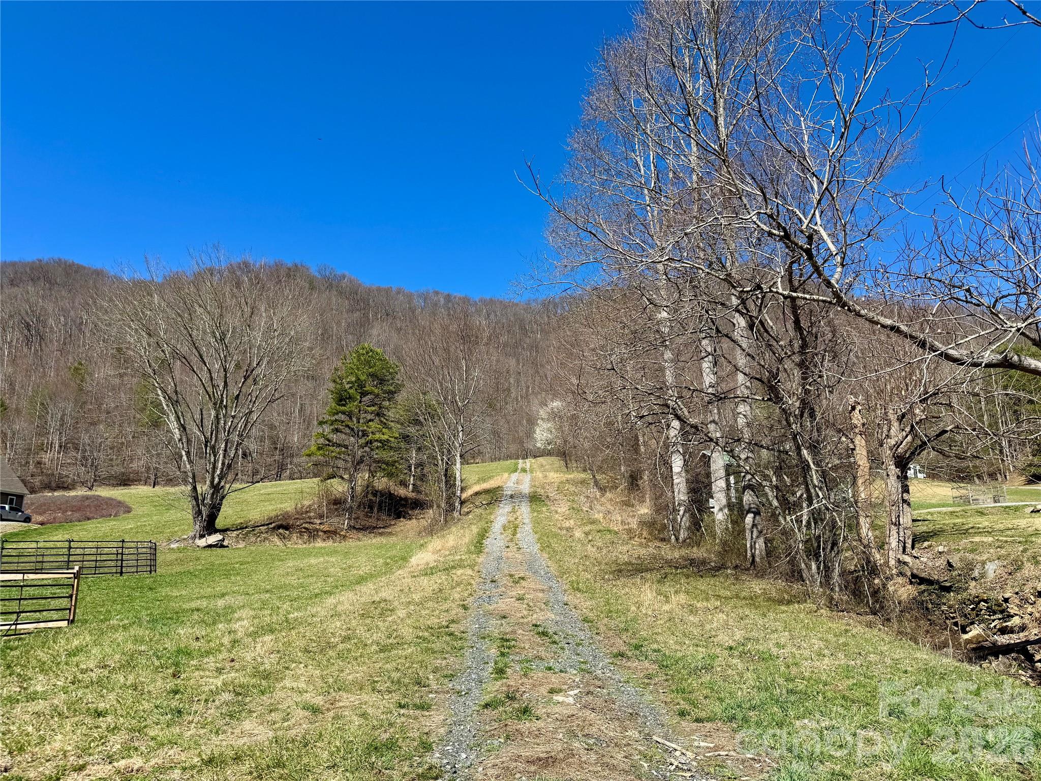 99999 North Fork Road Barnardsville NC 28709