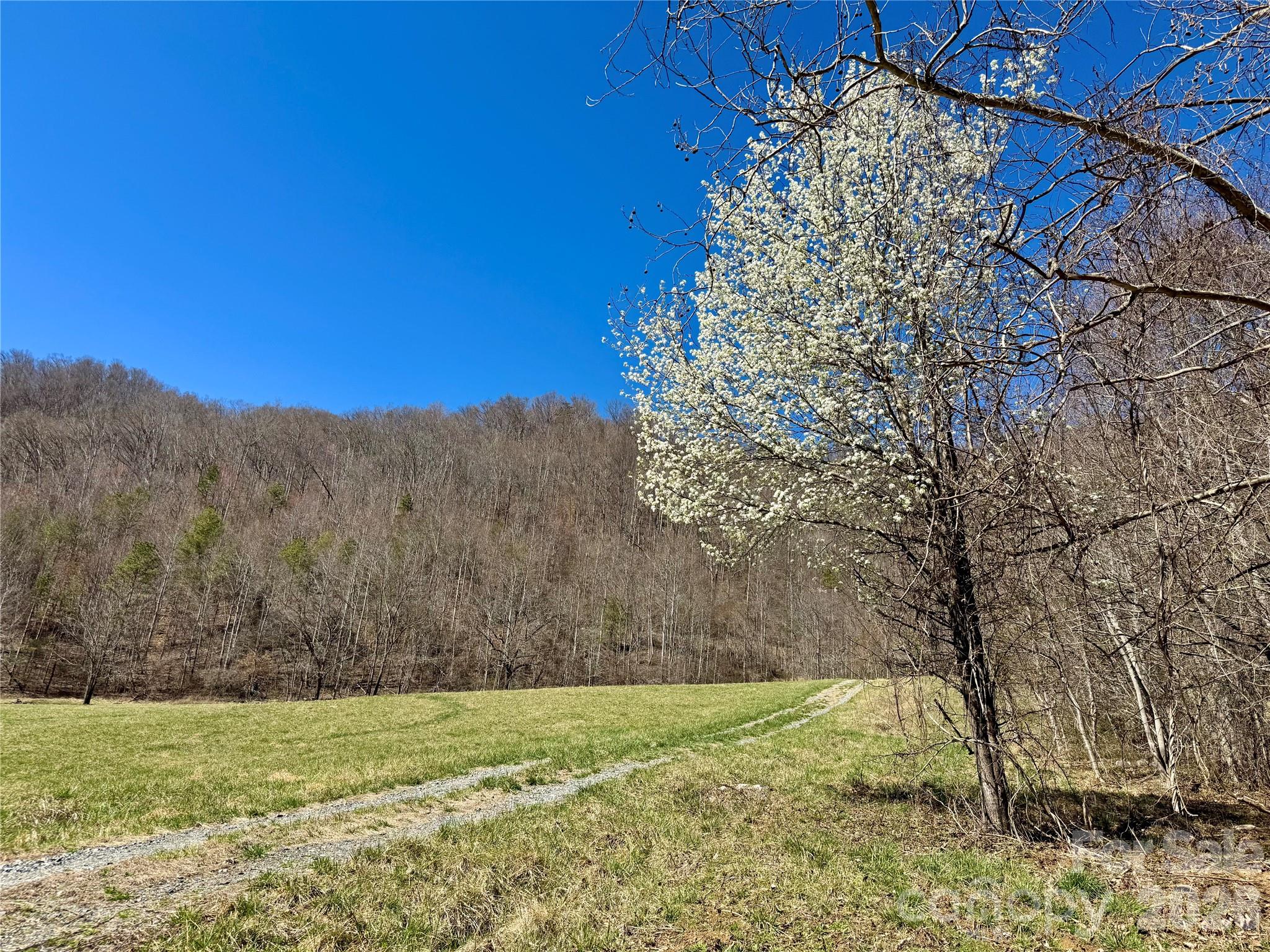 99999 North Fork Road Barnardsville NC 28709