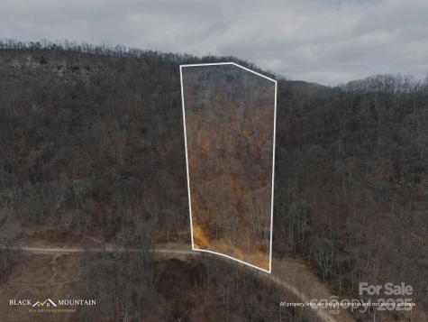 999 High Rock View Drive Canton NC 28716