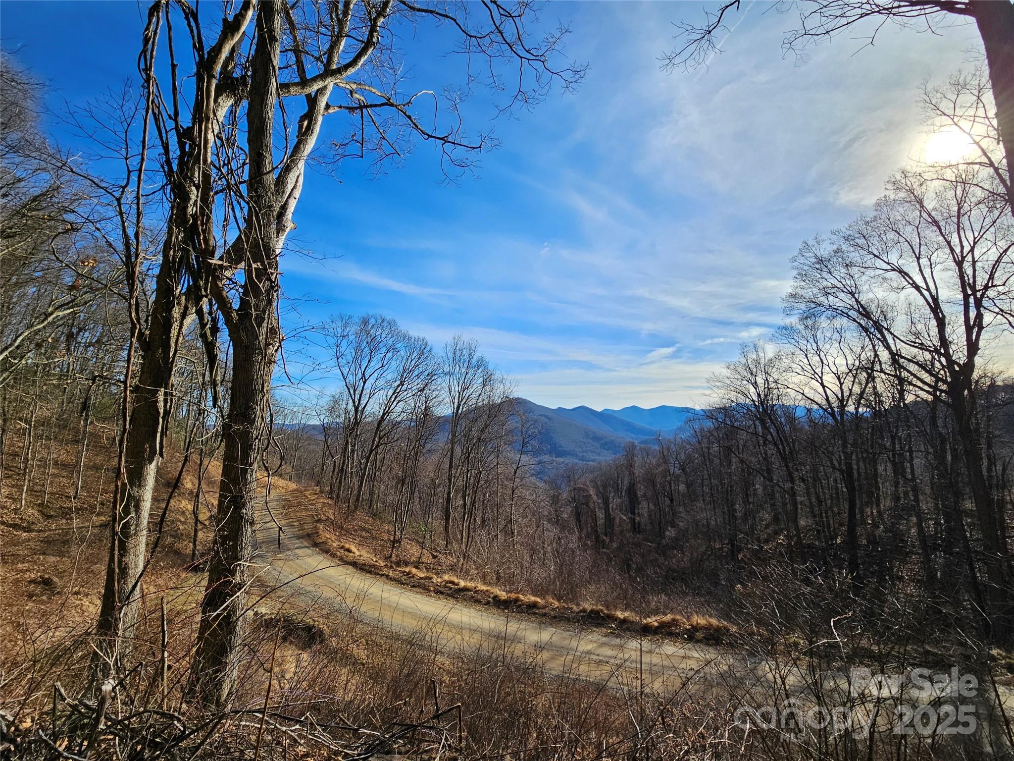999 High Rock View Drive Canton NC 28716