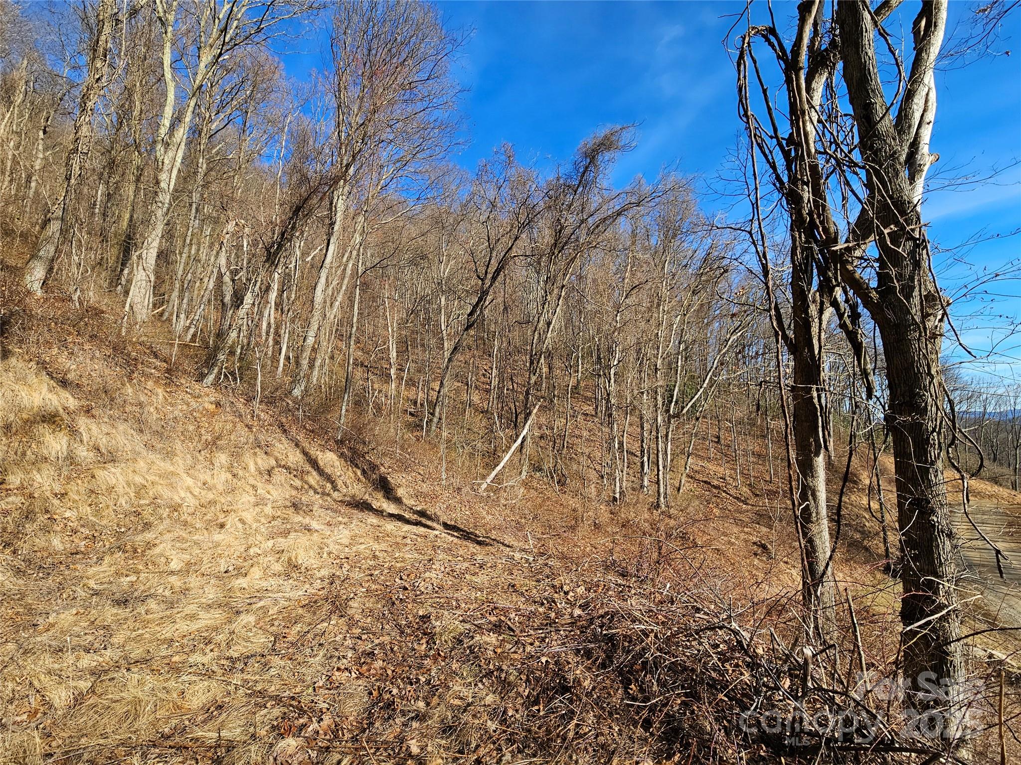 999 High Rock View Drive Canton NC 28716