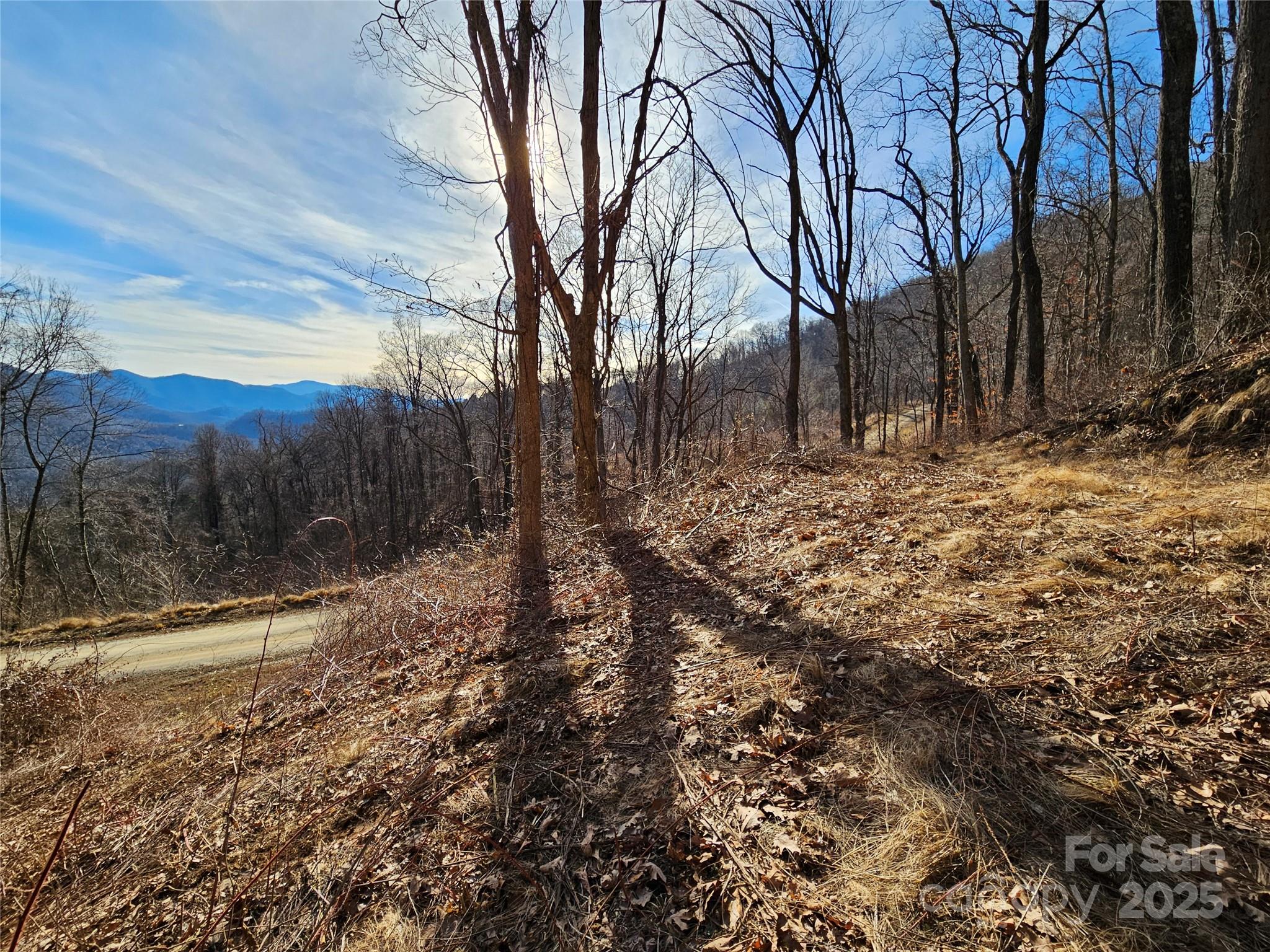 999 High Rock View Drive Canton NC 28716