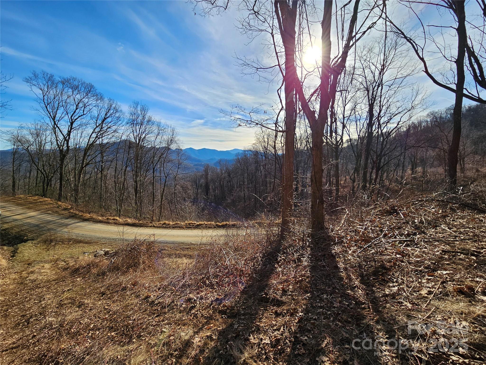 999 High Rock View Drive Canton NC 28716