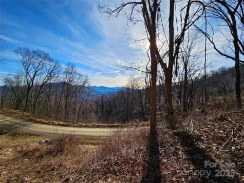 999 High Rock View Drive Canton NC 28716