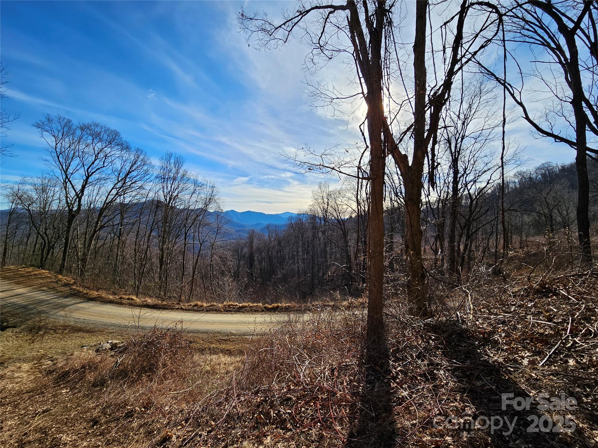 999 High Rock View Drive Canton NC 28716