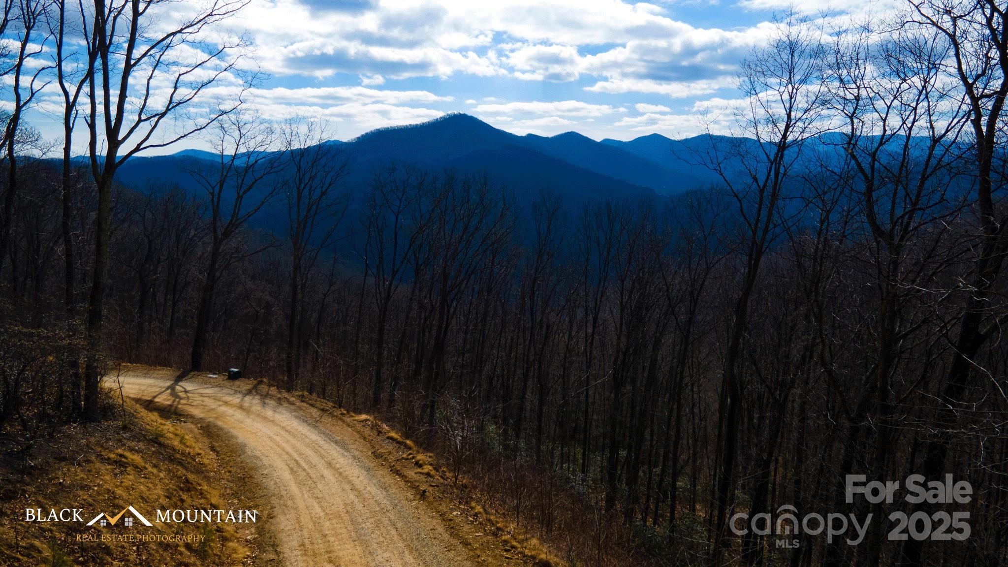 999 High Rock View Drive Canton NC 28716