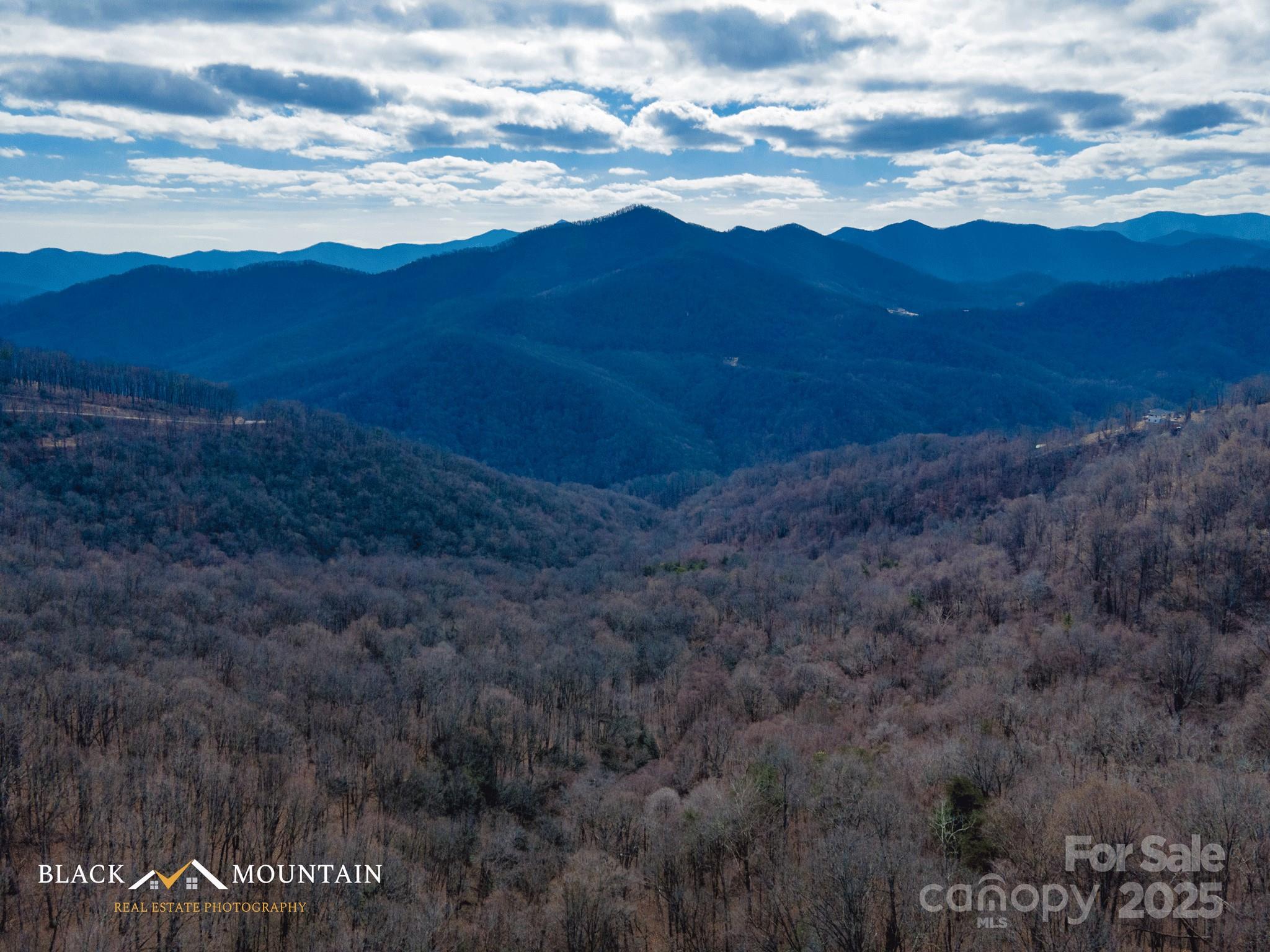 999 High Rock View Drive Canton NC 28716