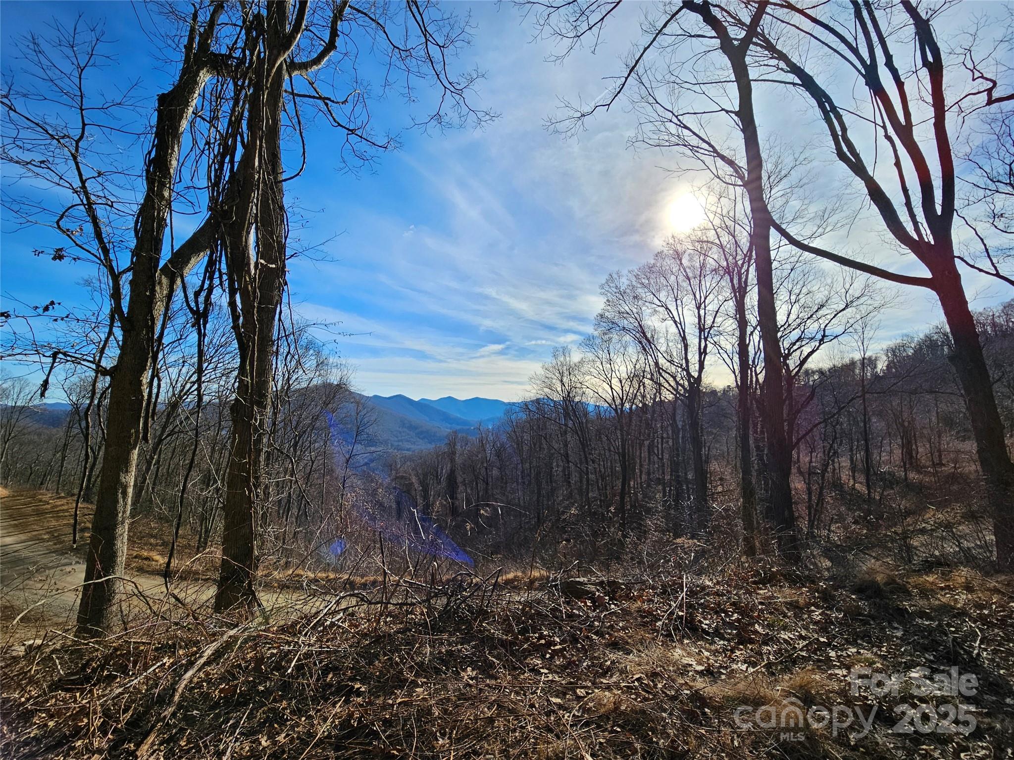 999 High Rock View Drive Canton NC 28716