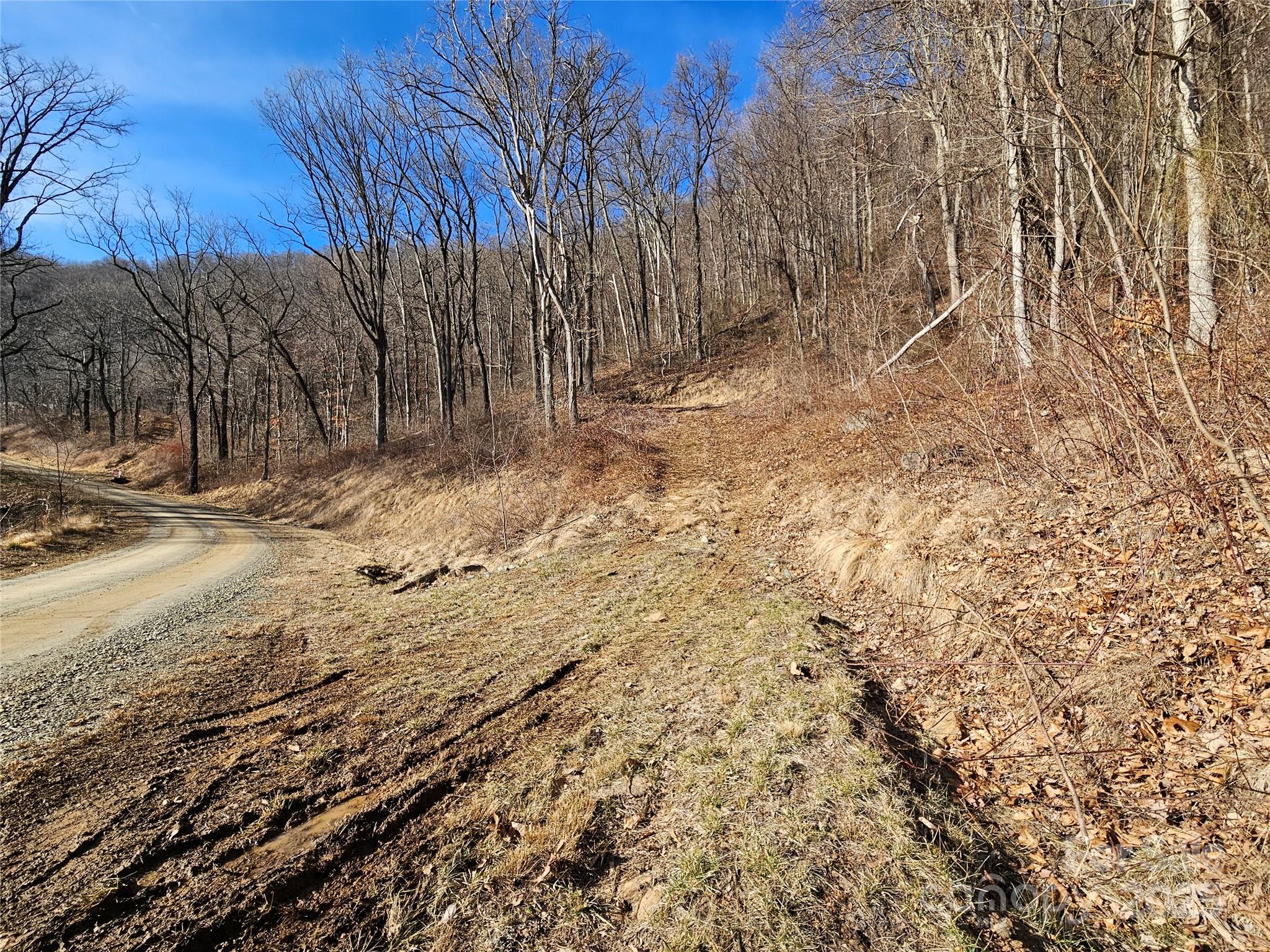 999 High Rock View Drive Canton NC 28716