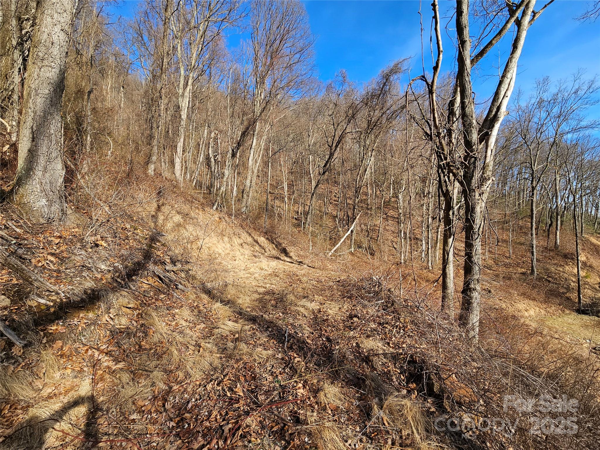 999 High Rock View Drive Canton NC 28716