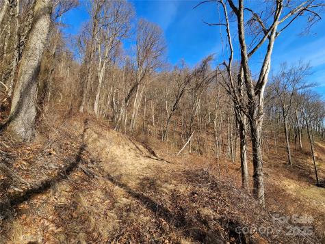 999 High Rock View Drive Canton NC 28716