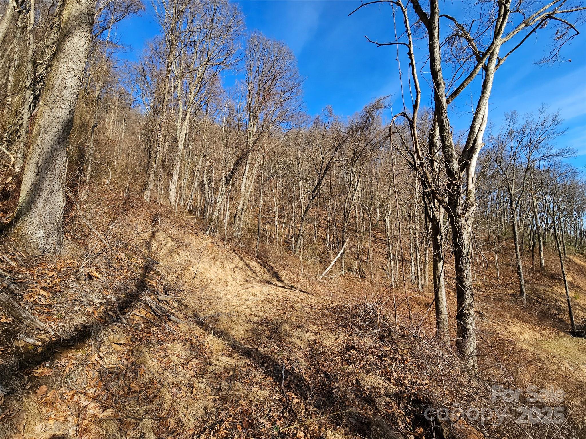999 High Rock View Drive Canton NC 28716
