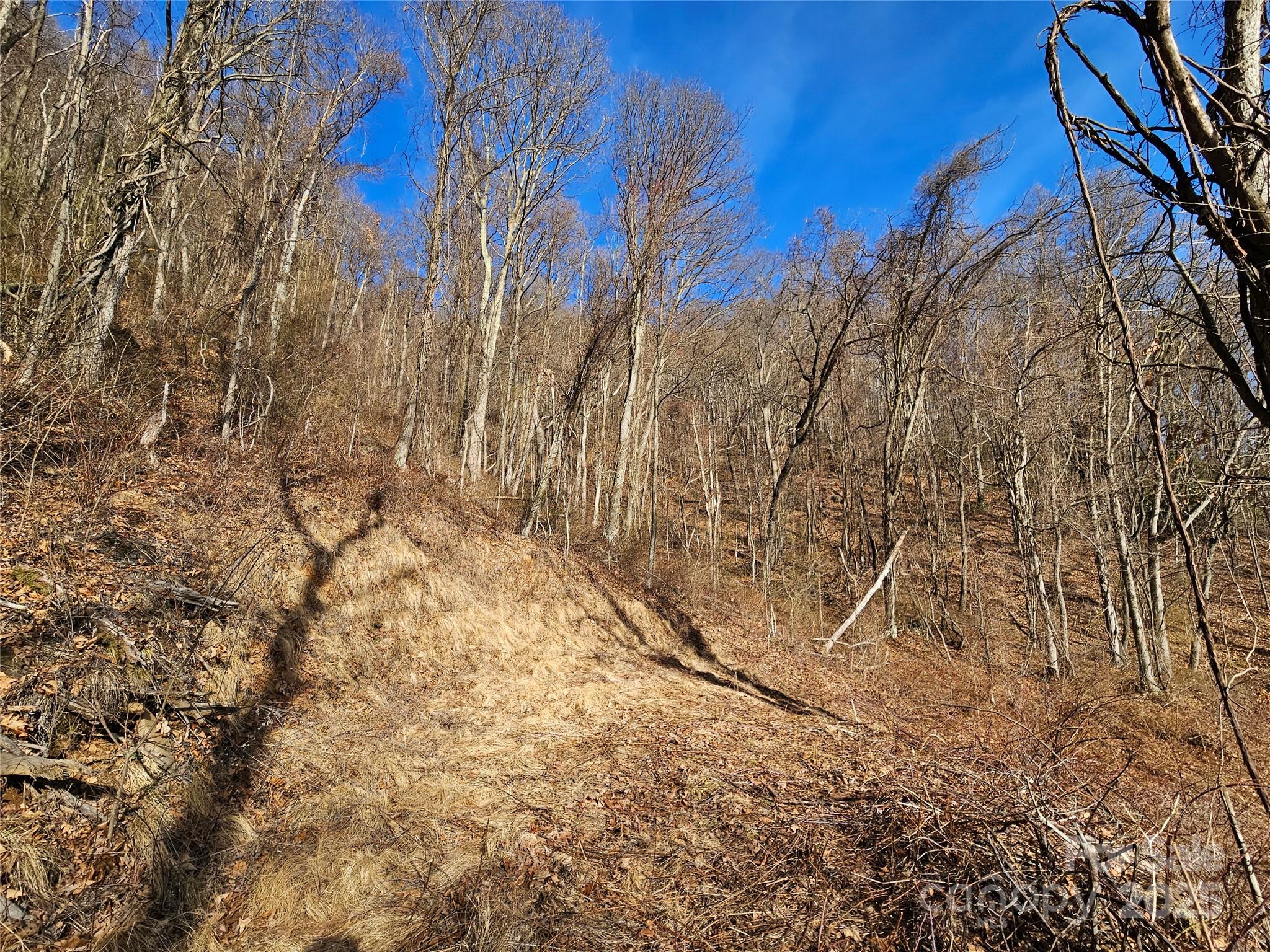 999 High Rock View Drive Canton NC 28716