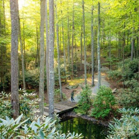 Tbd Falls Creek Parkway Elk Park NC 28622