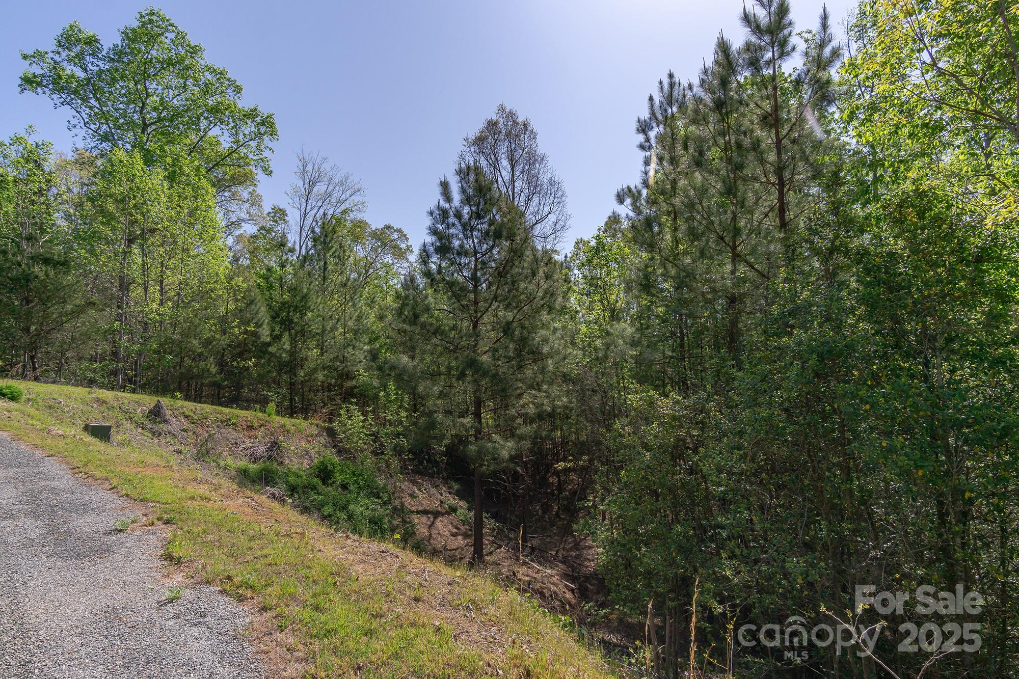 V/l Easy Street Lake Lure NC 28746