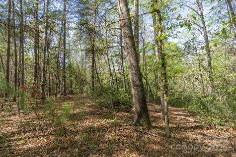 V/l Easy Street Lake Lure NC 28746