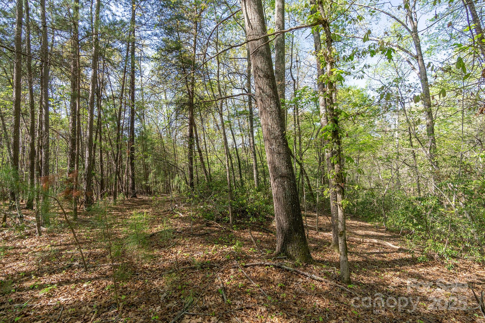 V/l Easy Street Lake Lure NC 28746