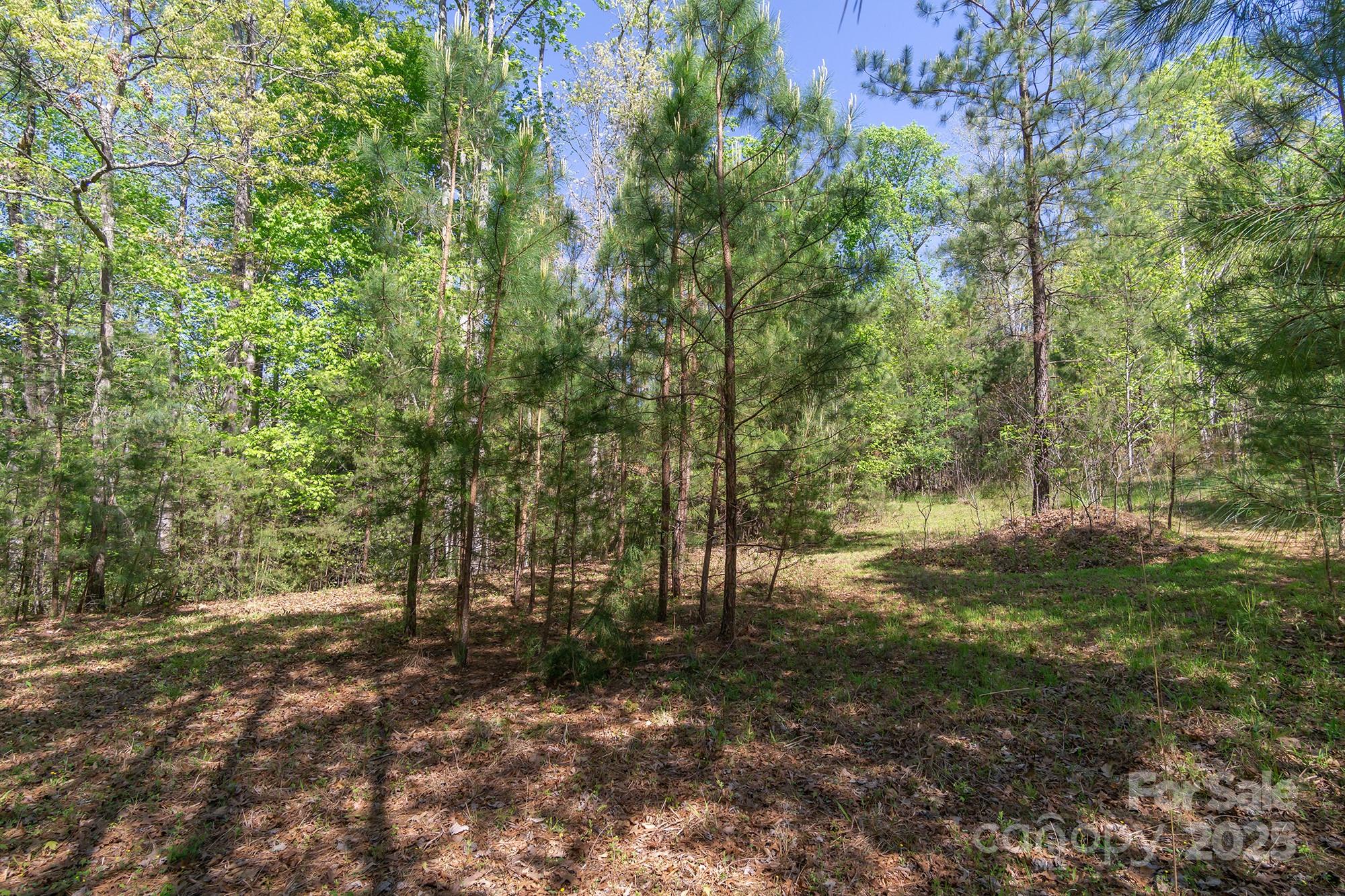 V/l Easy Street Lake Lure NC 28746