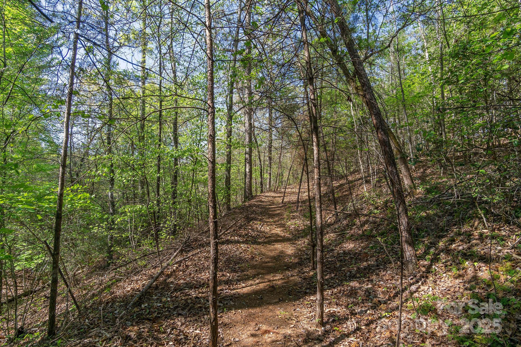 V/l Easy Street Lake Lure NC 28746