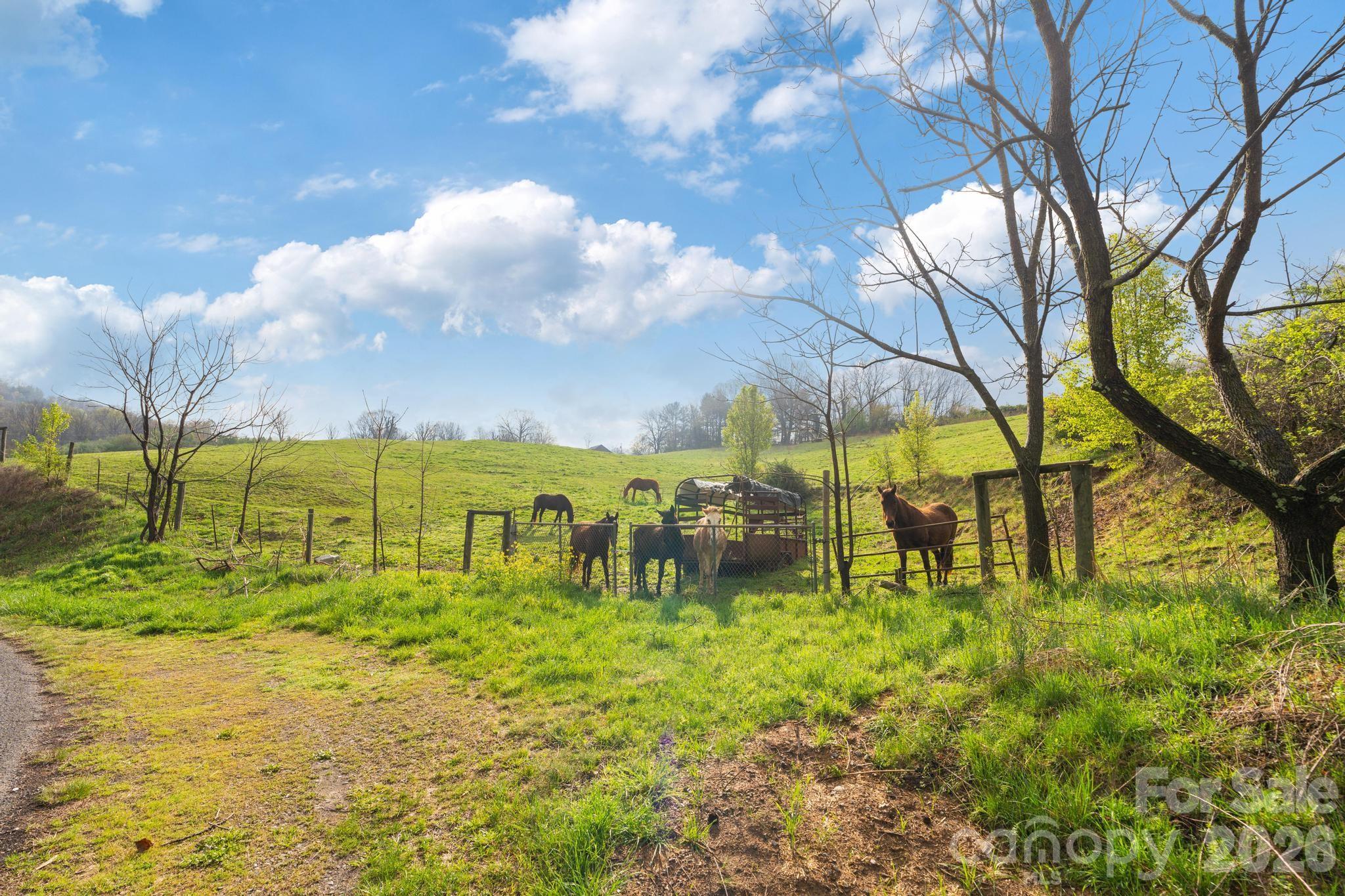 618 Beaverdam Street Canton NC 28716