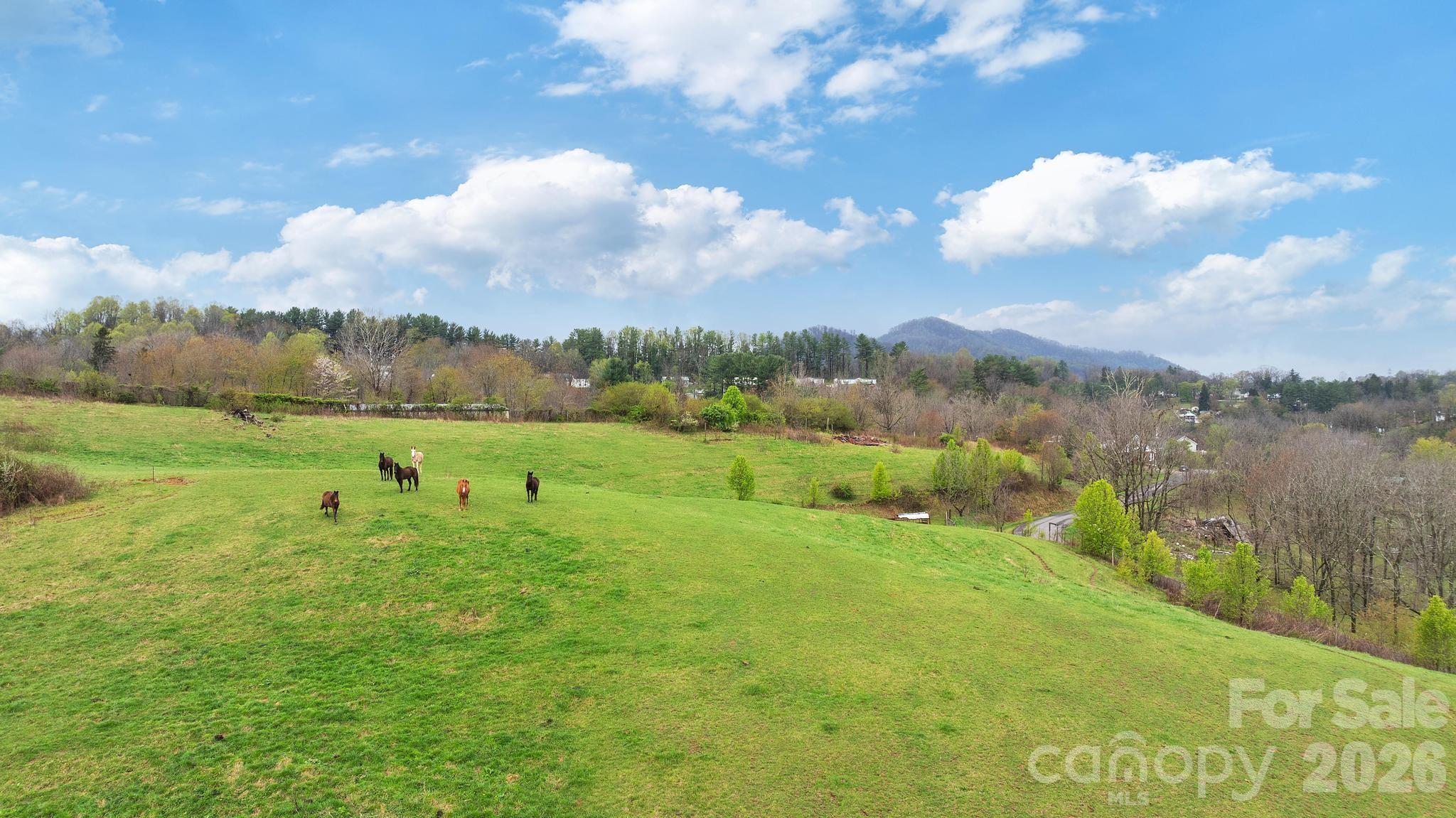 618 Beaverdam Street Canton NC 28716