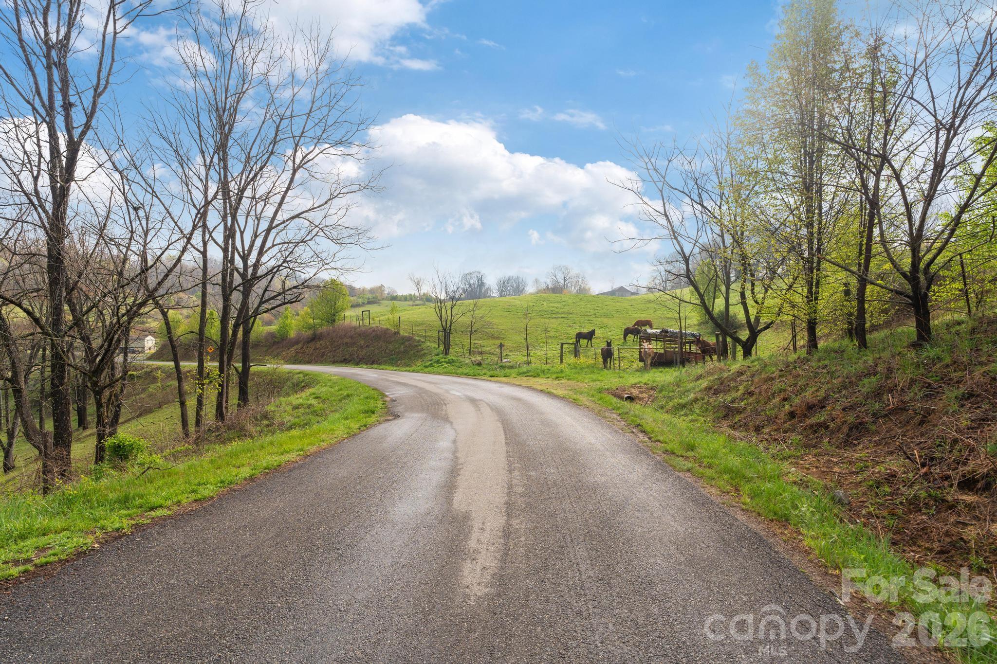 618 Beaverdam Street Canton NC 28716