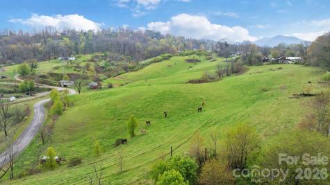 618 Beaverdam Street Canton NC 28716