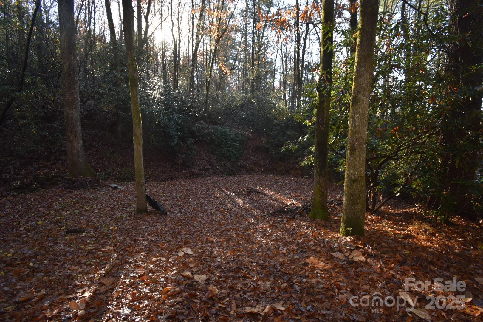 18748 Rosman Highway Sapphire NC 28774