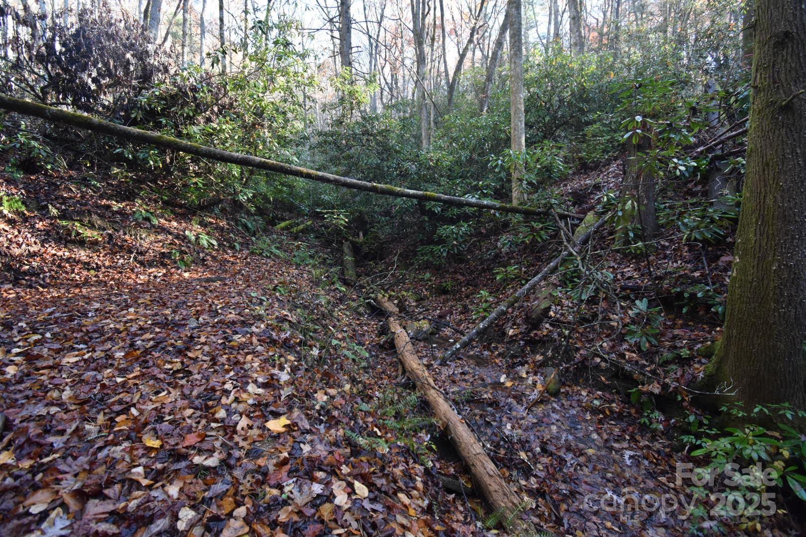 18748 Rosman Highway Sapphire NC 28774