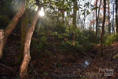 18748 Rosman Highway Sapphire NC 28774